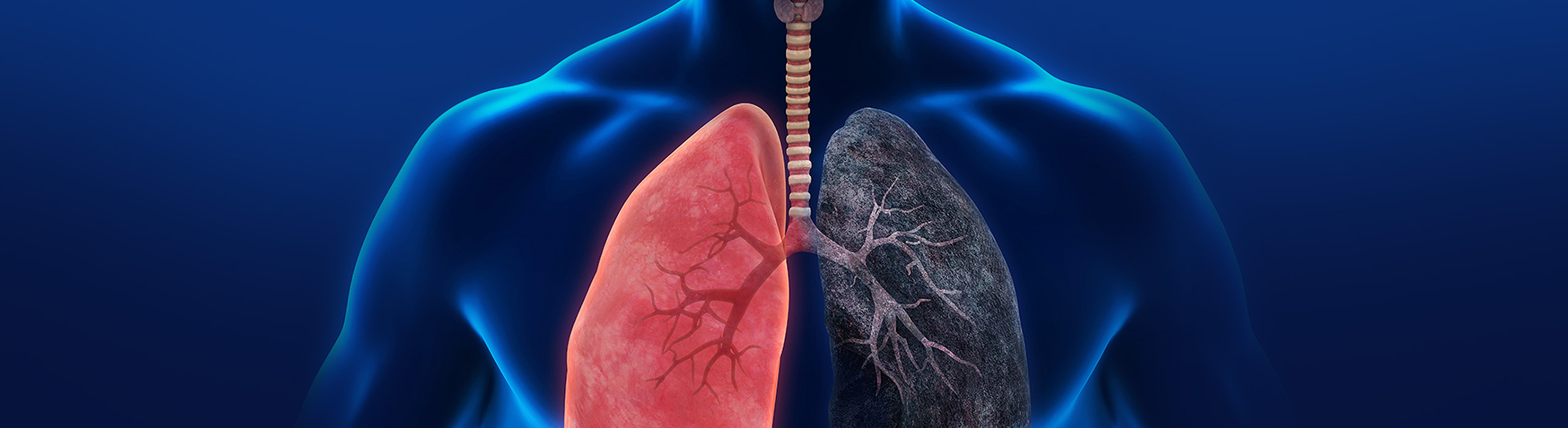 COPD_2560x800